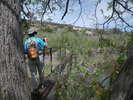 photo thumbnail #13