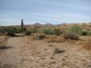 photo thumbnail #1