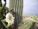 photo thumbnail #10