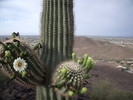 photo thumbnail #11