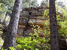photo thumbnail #3