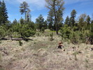 photo thumbnail #7