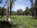 photo thumbnail #8