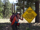 photo thumbnail #9