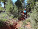 photo thumbnail #12