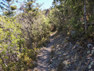 photo thumbnail #13