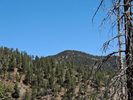photo thumbnail #14