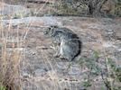 photo thumbnail #5