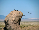 2009-06-19 :3: Southwest New Mexico :: rwstorm
