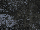 photo thumbnail #15