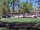 photo thumbnail #9