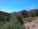 photo thumbnail #15