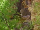 photo thumbnail #11