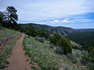 photo thumbnail #3