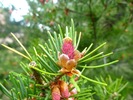 photo thumbnail #15
