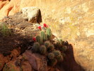 photo thumbnail #13