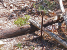 photo thumbnail #5