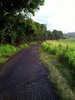 photo thumbnail #1