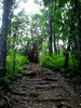 photo thumbnail #2