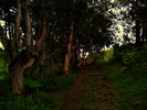 photo thumbnail #9