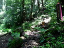 photo thumbnail #9
