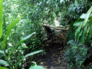 photo thumbnail #13
