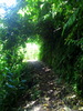 photo thumbnail #14