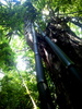 Featured Detail Photo