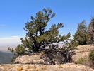 photo thumbnail #13