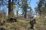 photo thumbnail #5