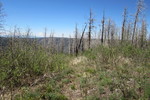 photo thumbnail #6