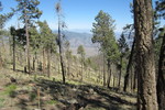 photo thumbnail #7
