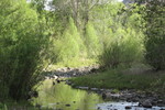 photo thumbnail #1