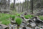 photo thumbnail #3