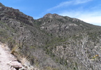 photo thumbnail #4