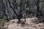 photo thumbnail #14