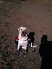 photo thumbnail #1