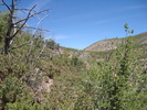 photo thumbnail #11