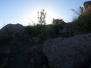 photo thumbnail #12