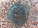 photo thumbnail #13