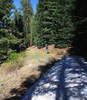 photo thumbnail #3