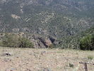 photo thumbnail #15