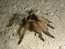 photo thumbnail #1