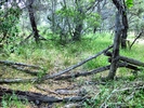 photo thumbnail #4