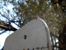 photo thumbnail #2