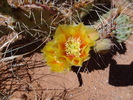 photo thumbnail #10