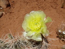 photo thumbnail #11