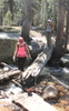 photo thumbnail #2