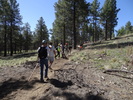 photo thumbnail #2