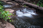 photo thumbnail #7